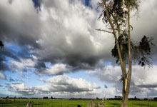 赛事前瞻 ｜ 常规赛收官之战！山西汾酒主场迎战南京头排苏酒.